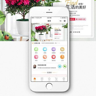 二道门店微商城小程序开发