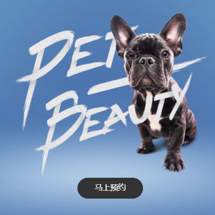 二道宠物中心小程序开发