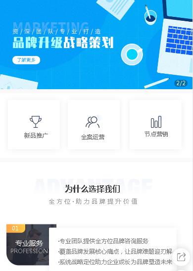 二道咨询策划小程序开发